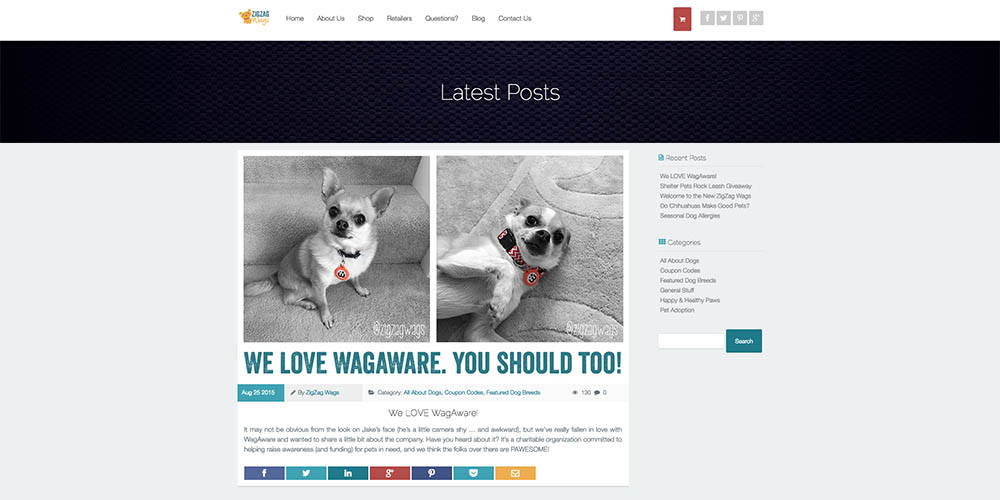 ZigZag Wags Blog Page